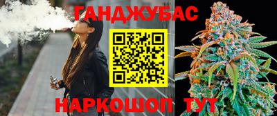 гашик Можга