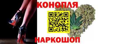 гашик Можга