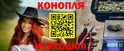 гашик Можга